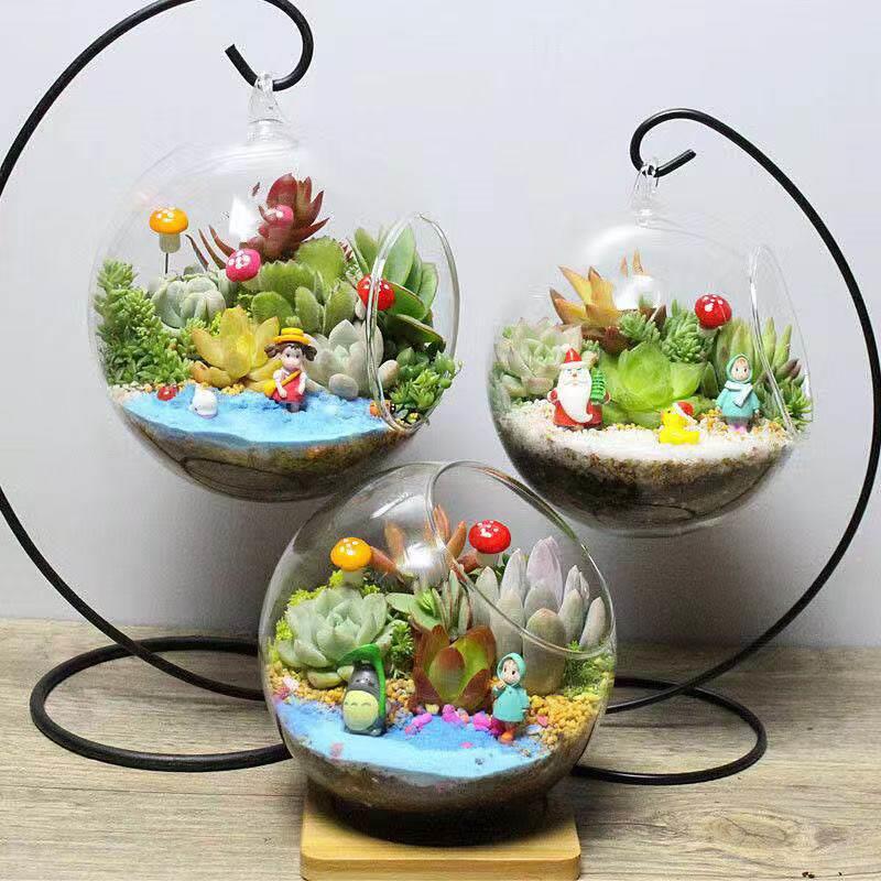 微景观diy材料多肉植物苔藓生态玻璃盆栽绿植微景观造景礼品套