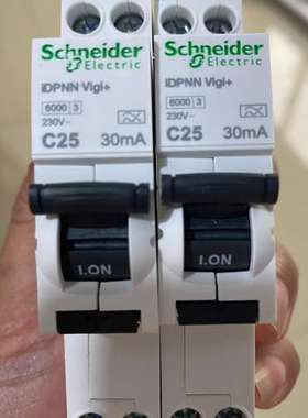 {议价} 漏电保护器 断路器 DPNN 双进双1P+N25A