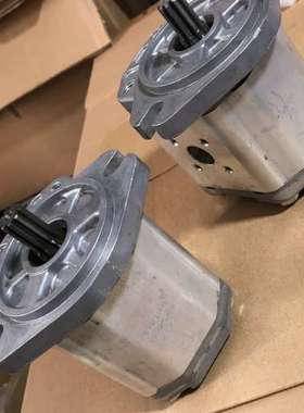 {议价}意大利BONDIOLI&PAVESI齿轮泵SMLPD/B22