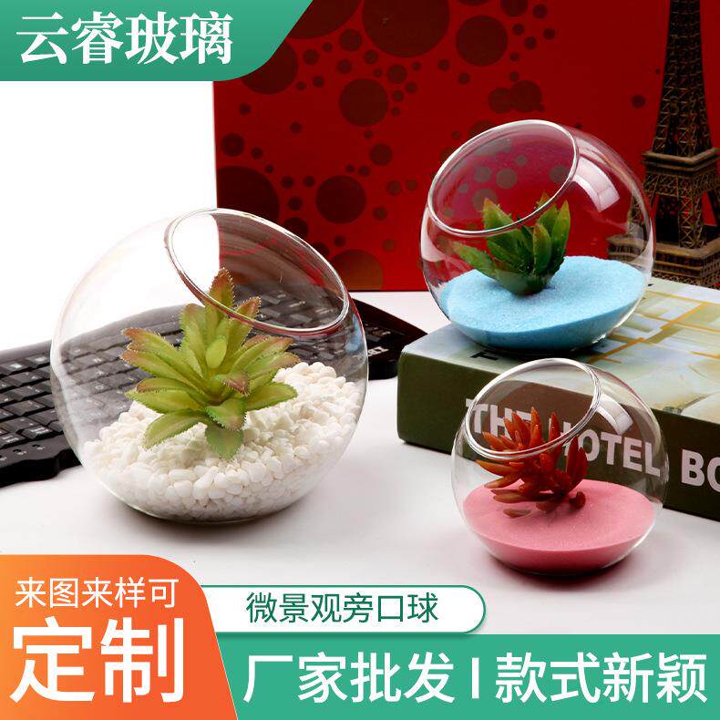 微景观旁口球 厂家创意微景观生态瓶 玻璃多肉水培花器