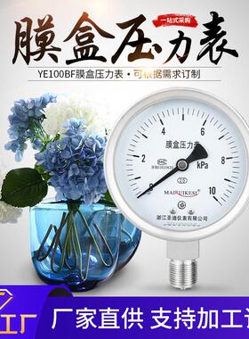 不锈钢膜盒压力表YE100BF微压哑光 不锈钢膜盒压力表膜片压力表