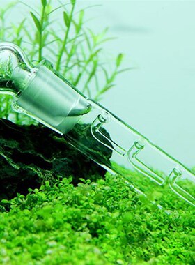 极速2020 New Snail Leech Vivarium Pest Catch Trap Shrimp Wor