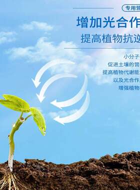 极速花枝香幸福树专用家庭园艺浓缩营养液八个老头液体肥料花卉绿