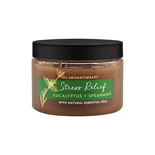 极速Bath and Body Works Aromatherapy Stress Relief - Eucalyp