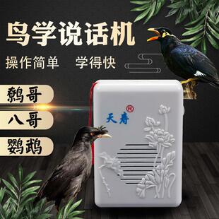 鸟学说话机复读机播放器鹦鹉八哥鹩哥学话学语训练教学训鸟用