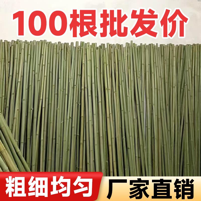 优选100根竹竿菜园搭架蔬菜黄瓜豆角竹篱笆栅栏爬藤架小竹子