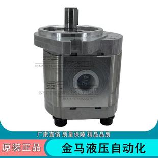 4X4 SAP20 14X14 X20 8X8 ASEDA齿轮双联泵SAP20