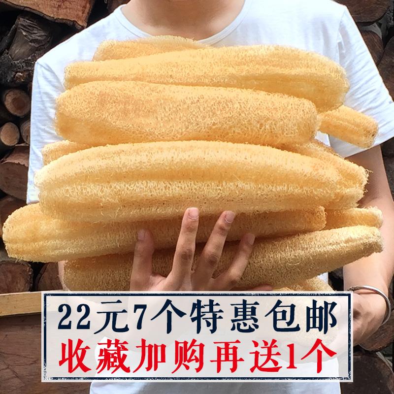 山区天然丝瓜络洗碗刷锅搓背洗澡下奶农家老干丝瓜瓤水瓜囊筋布皮