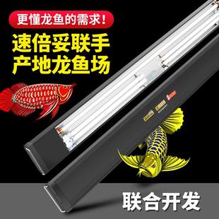 速倍妥红龙灯专用发色灯管鱼缸增艳灯红龙血鹦鹉烤色灯led霞光号