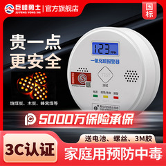 一氧化碳报警器检测仪电池款家用室内防co中毒厨房煤烟煤气体泄漏