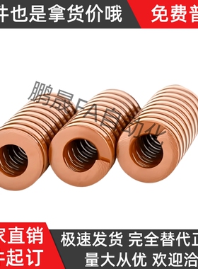 YSWB-D40-L40 L45 L50 L55 L60 L65 L70 L75 L80 L90矩形弹簧L100