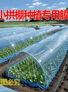 小拱棚保温膜蔬菜种植无滴膜防冻二膜大棚内层膜高透光蓝色消雾膜