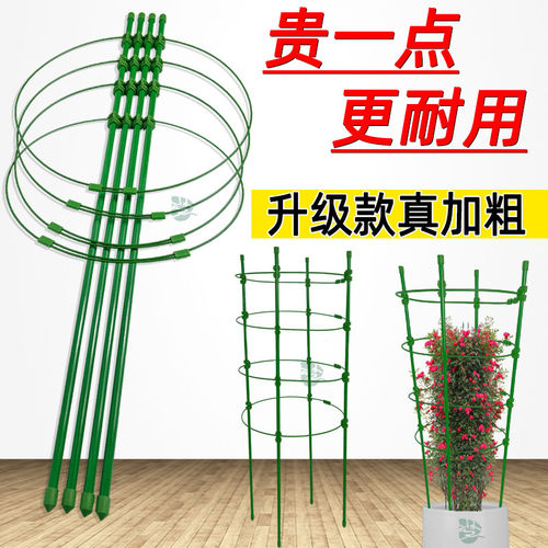 极速爬藤架子铁线莲花架月季花支架花盆栽植物攀爬架室内固定花支