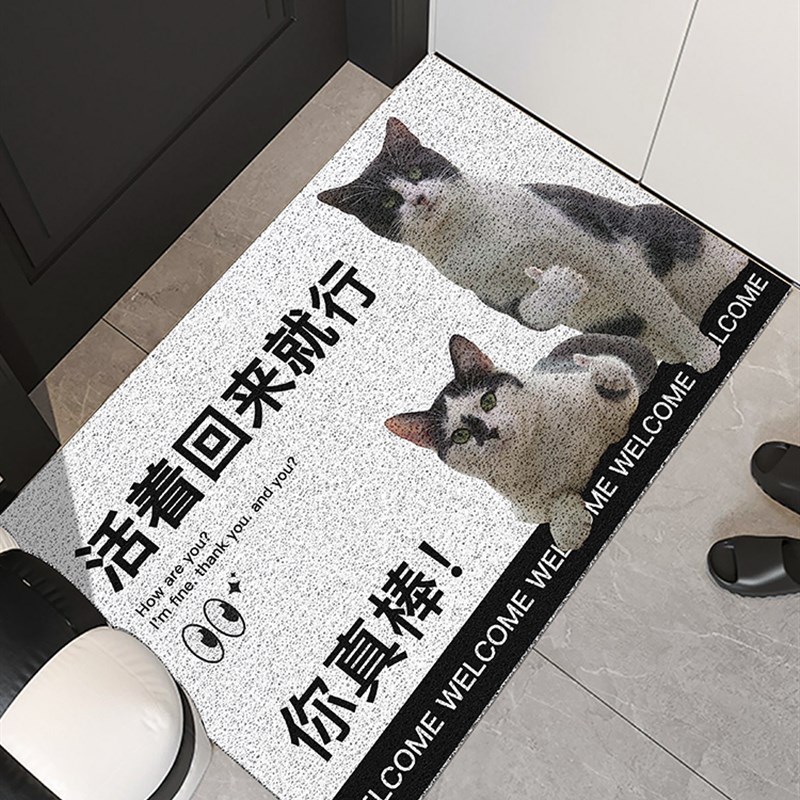 门外地垫耐脏免洗入户门玄关门口丝圈进门家用脚垫卡通熊猫趣味你
