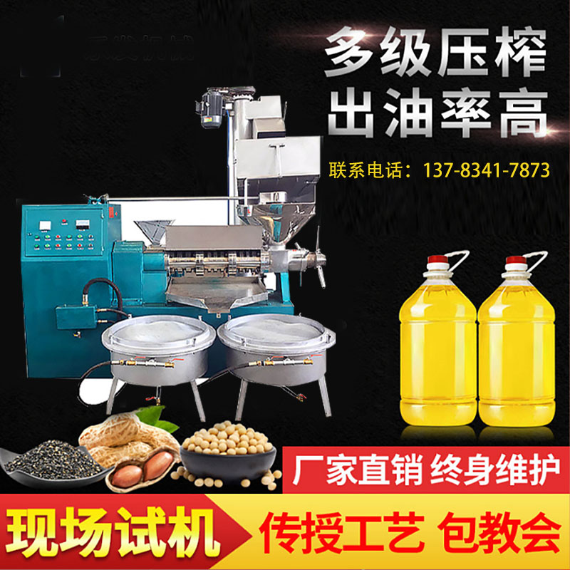 全自动智能家庭不锈钢榨油机商用电动中型家用大型油坊小型花生
