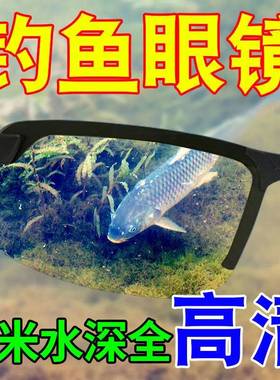 德国偏光钓鱼眼镜水底找鱼看漂专用可见水下三米清垂钓太阳眼镜