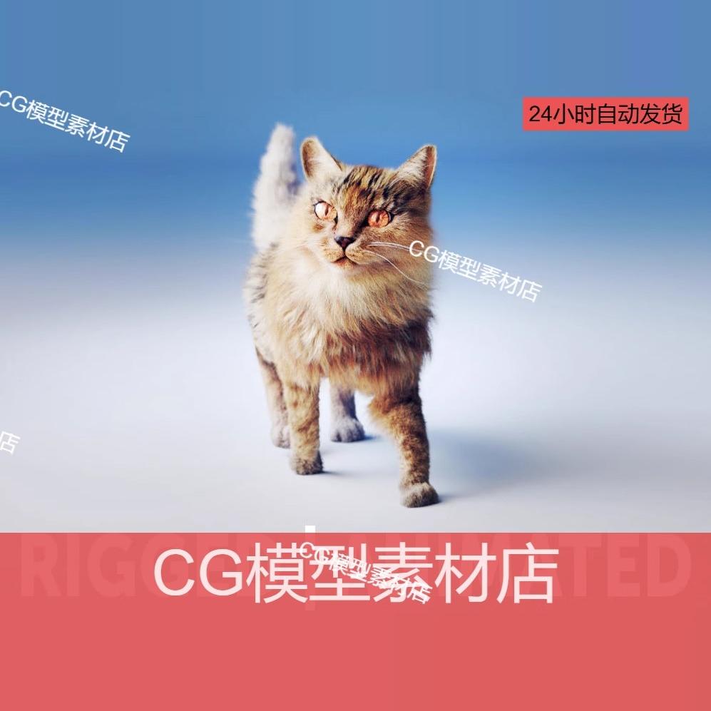 写实动物模型带动作猫3d模型 带骨骼绑定动画3dmax maya C4D 可用