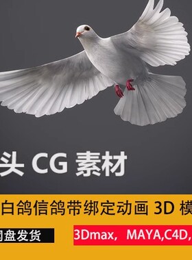 鸽子和平白鸽信鸽鸟飞行动物带动画绑定3d模型cg模型C4D/3dmax