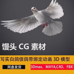 鸽子和平白鸽信鸽鸟飞行动物带动画绑定3d模型cg模型C4D/3dmax