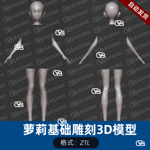 Zbrush二次元萝莉基础雕刻模型游戏影视动画手办角色建模绘画参考