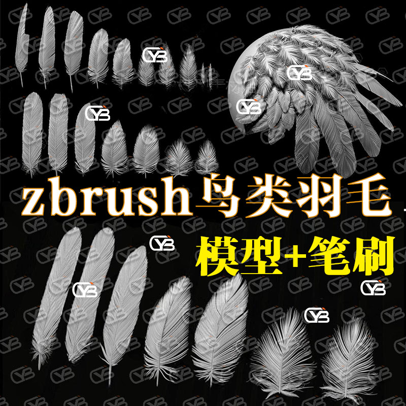 zbrush写实鸟类羽毛翅膀羽毛3D模型多种形态动物zbp羽毛雕刻笔刷