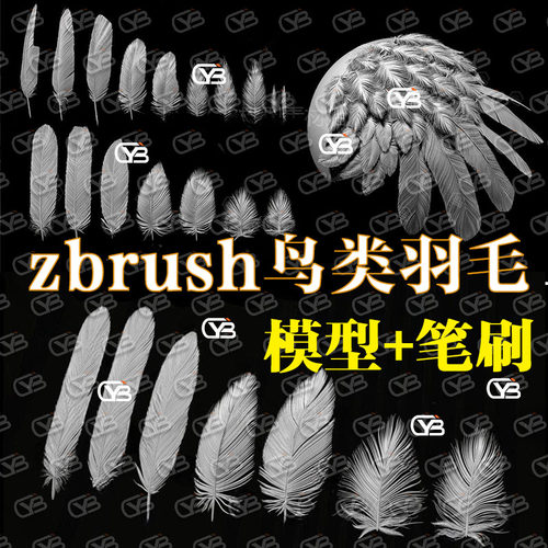 zbrush写实鸟类羽毛翅膀羽毛3D模型多种形态动物zbp羽毛雕刻笔刷