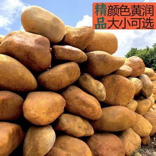 黄蜡石鱼池围边驳岸点缀石庭院观赏风水造景原石户外装饰花园景石