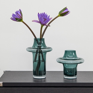 视远透明轻奢玻璃花瓶高级感插花装饰现代风客厅餐桌玄关简约摆件