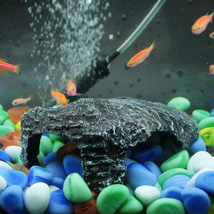 宠物龟活体乌龟晒台晒背台浮岛爬坡巴西地图龟用爬台养水龟缸造景