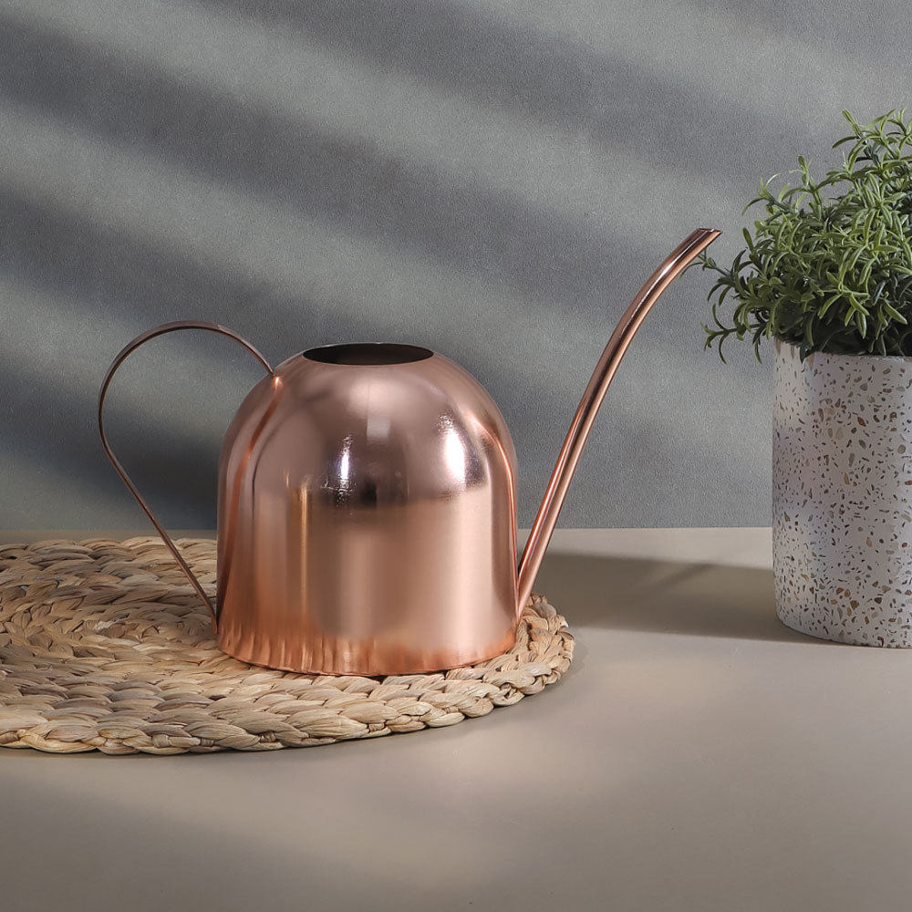 不锈钢园艺长嘴浇花壶阳台家用洒水壶金属喷壶浇水壶500ML跨