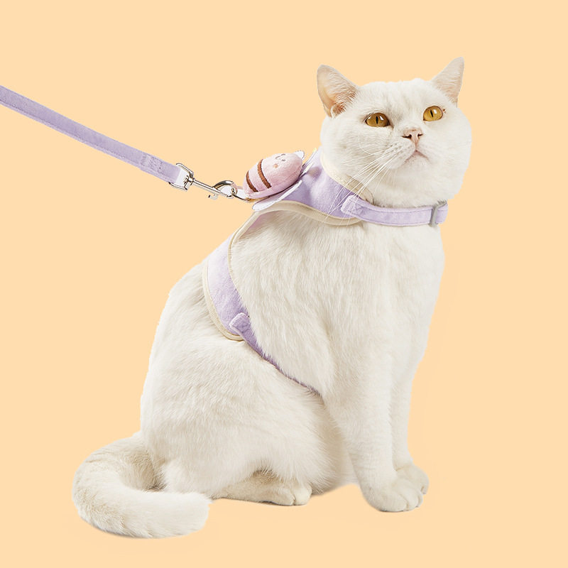狗狗牵引绳小型犬背心式狗绳子泰迪比熊遛狗绳宠物用品猫咪胸背带