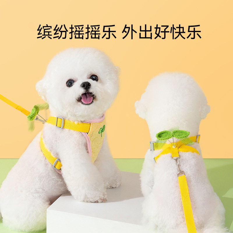 新款狗狗外出缤纷花朵摇摇乐背心式胸背带猫咪牵引绳宠物遛狗绳子