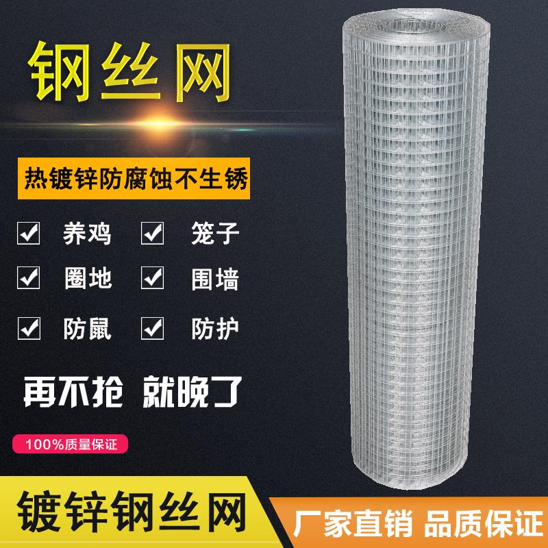 镀锌铁丝网养殖拦鸡网家用围栏网整卷围网小孔钢丝防护网格片加粗