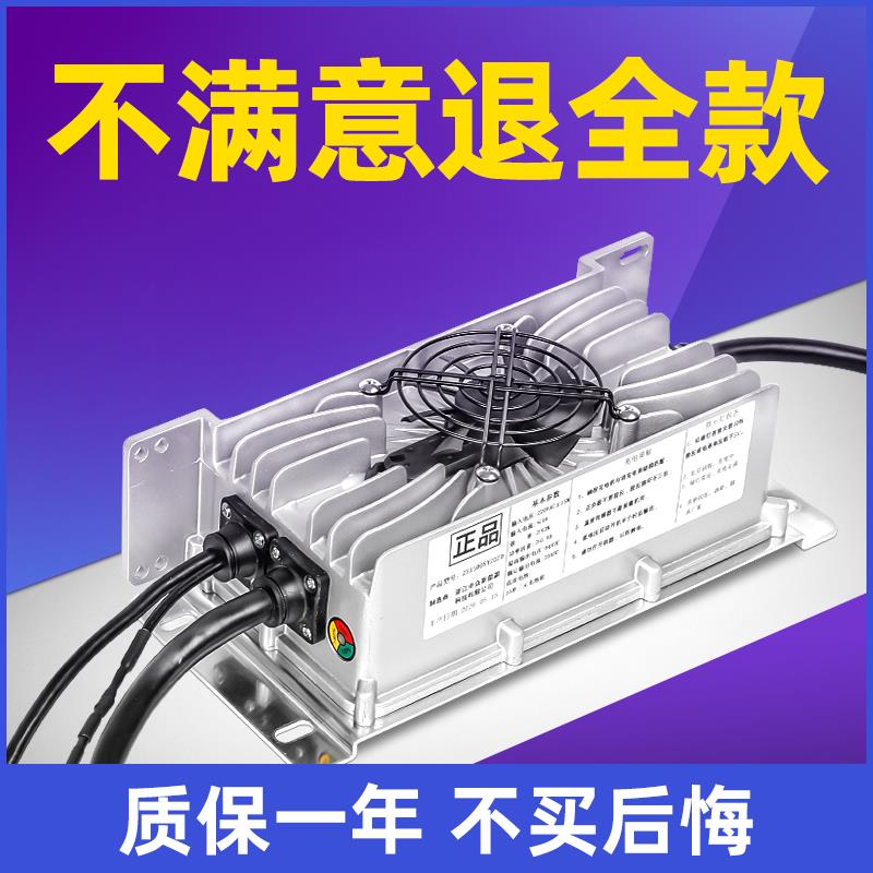 适用雷丁鸿日大阳比德文丽驰60V三元锂电池车载电动四轮车充电器