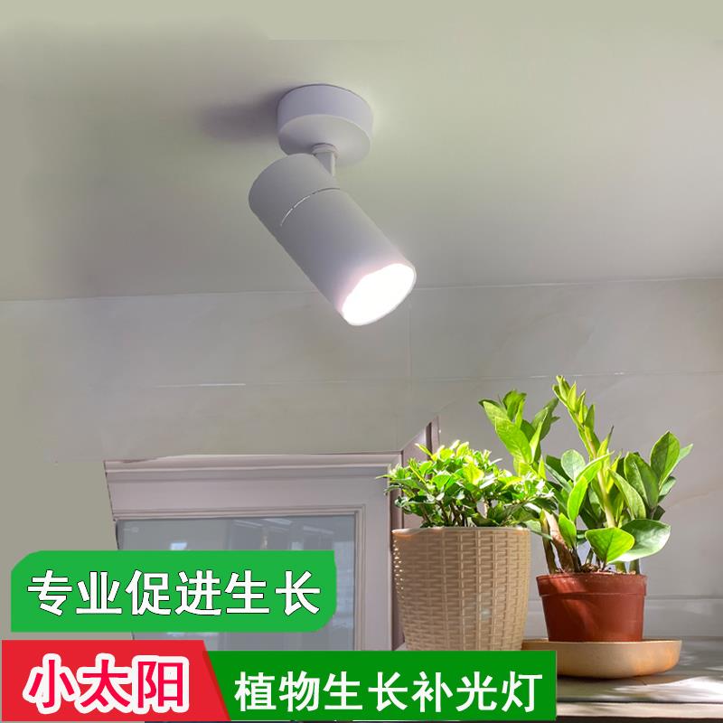 植物补光灯生长壁灯仿太阳光全光谱绿植吸顶轨道射灯室内光合作用