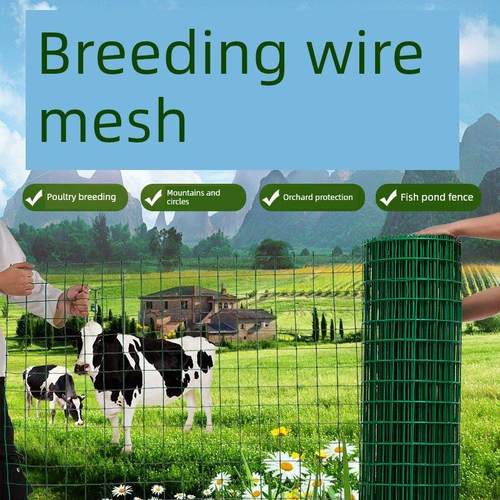 铁网格网包塑铁丝网养鸡围栏网防鼠鸡笼门防护网养殖隔离菜园地