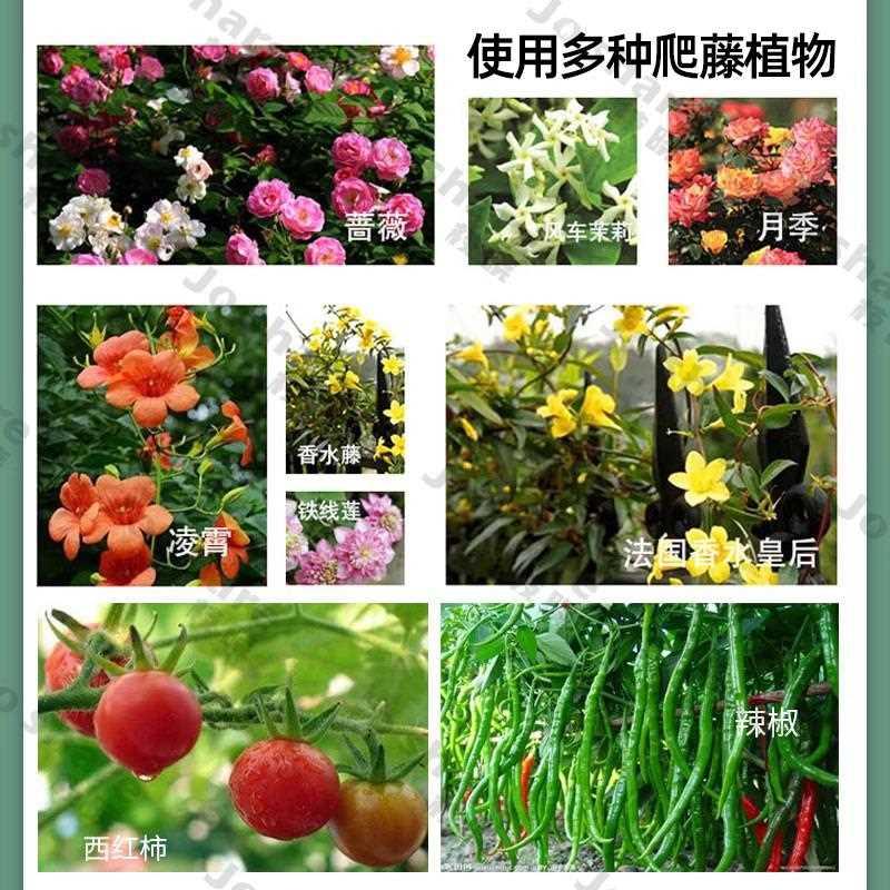 铁艺花支架铁制圆柱植物玫瑰爬藤架攀爬杆铁线莲柱形固定月季花架