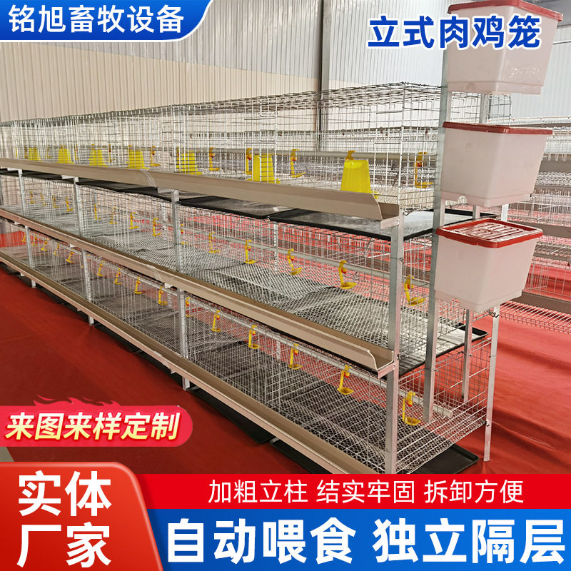 养殖立式肉鸡笼大号蛋鸡笼镀锌大棚院子鸡舍层叠自动清粪养鸡笼子