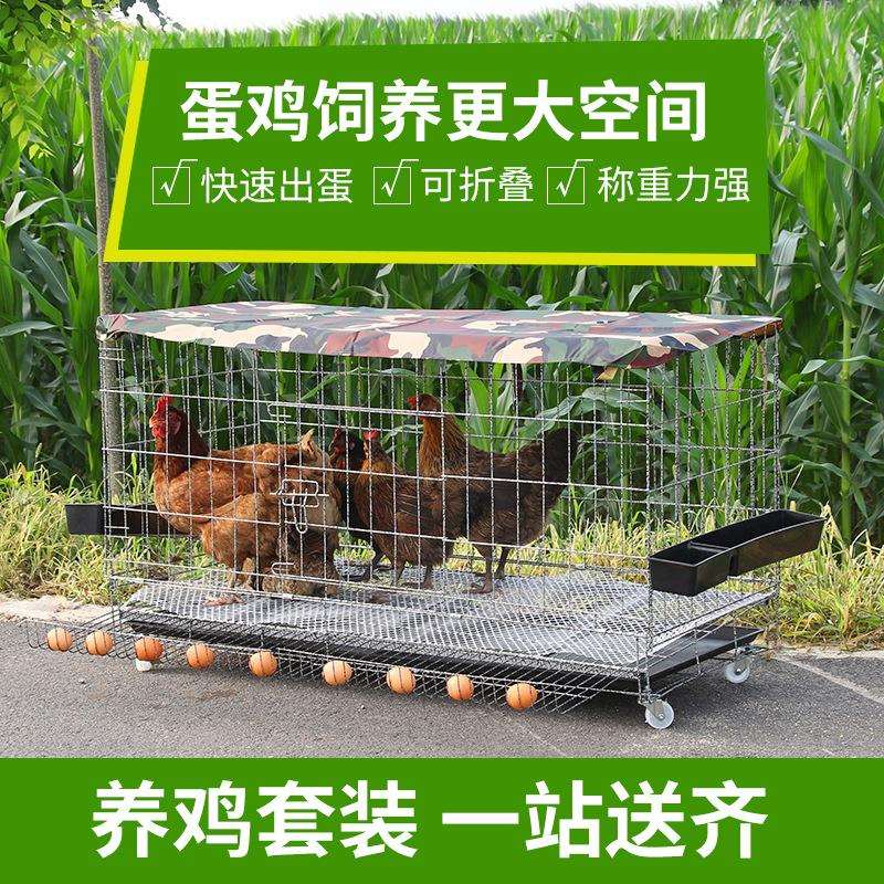 鸡笼养殖笼铁丝笼加粗养鸡笼子鸡舍家用大号折叠自动滚蛋宠物笼