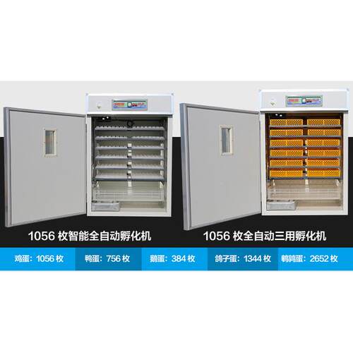 孵器孵化机1056小枚型孵化设备全KGT自蛋动鹌鸡鸭鹅鹑孵化器