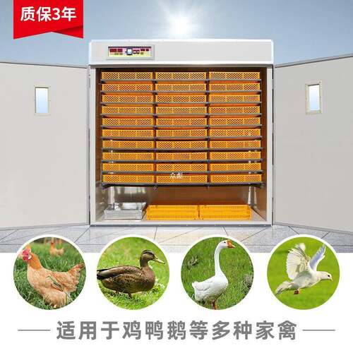孵化器全动大型自工业孵化机养z殖场孵商用蛋机VJL器可家用鸡鸭孵