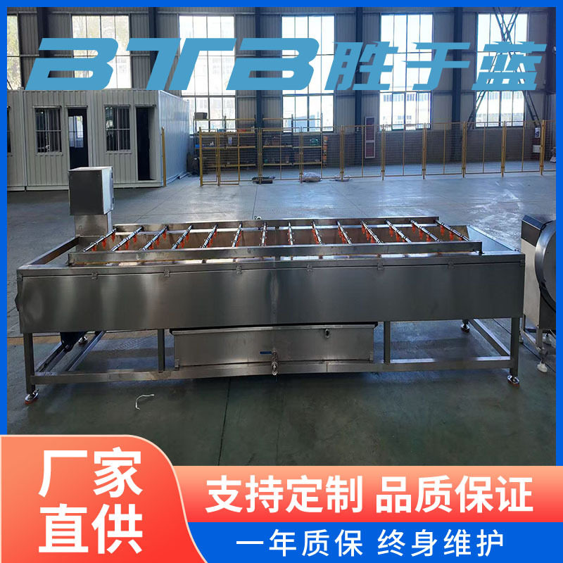 芋头鲜姜磨皮平行毛辊清洗机毛辊清洗机设备厂家优惠