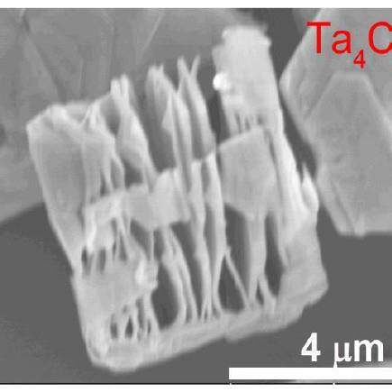 德科岛金200-500目Mxene碳化钽Ta4C3Tx1g