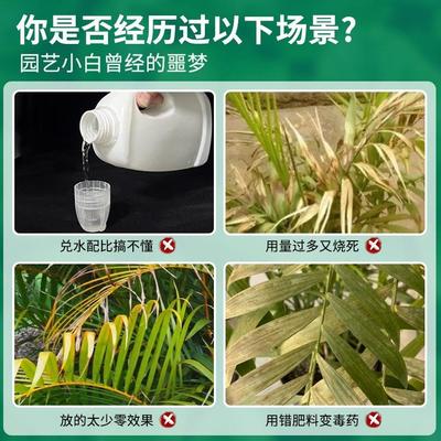 免稀释散尾葵肥料专用肥室内水培肥料营养液凤尾竹家用盆栽通用型