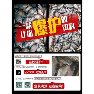 冬钓鲫鱼饵料钓鱼小药野钓黑坑鲫鲤鱼专用腥香饵料爆护鱼食添加剂