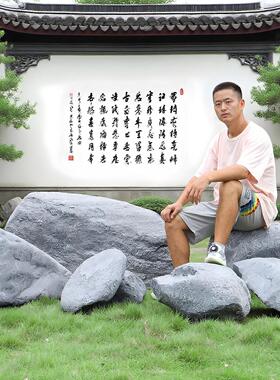 户外景区井盖石雕塑公园仿真空心石头摆件消防栓电箱瓢虫遮挡装饰