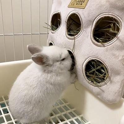 拉士格手工小宠草袋 兔子大容量草架龙猫荷兰猪豚鼠草筐草篮子