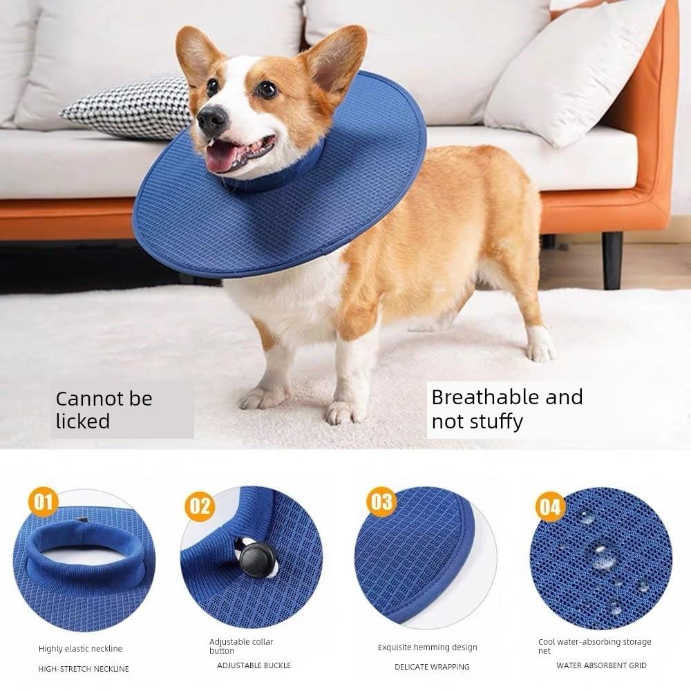 小狗伊丽莎白圈透气夏季宠物防舔脖圈轻软柯基法斗防咬头套可吃饭