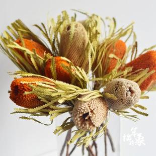 班克木干花橙色南非进口北欧天然覆古森系文艺干燥花佛塔摄影道具