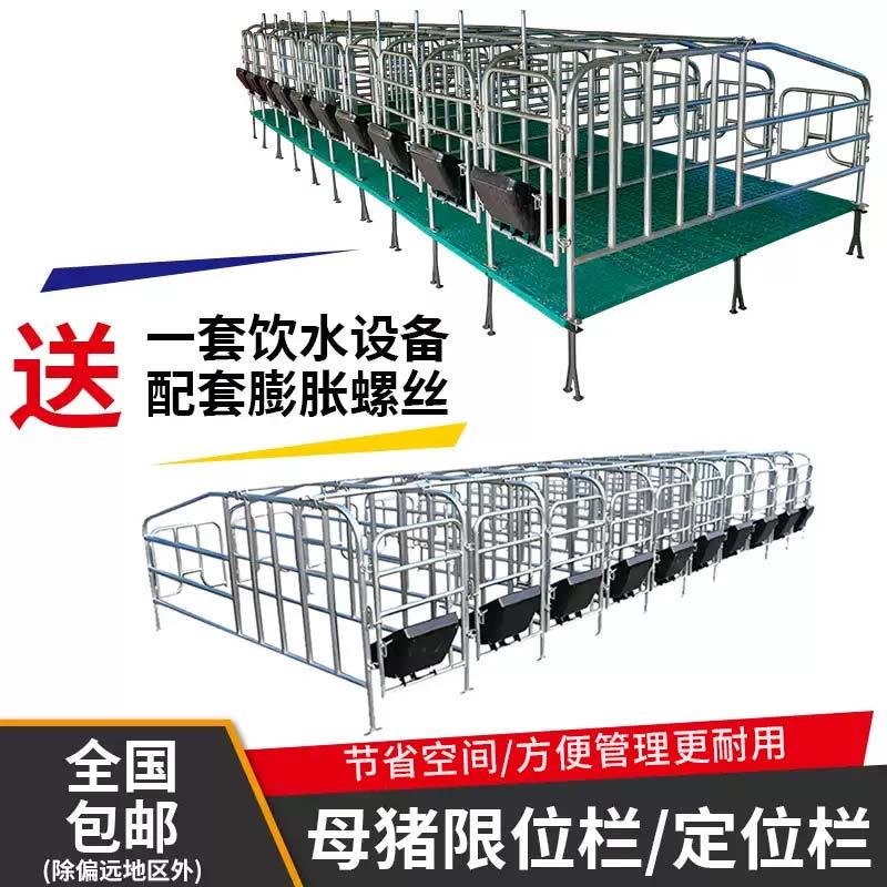 母猪定位栏猪场用限位栏产床落地式带覆合漏粪板畜牧养殖设备厂家